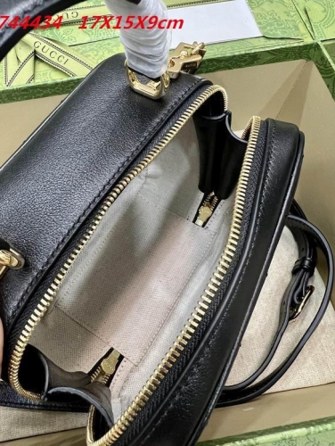 AAA -- G.u.c.c.i. Bags Part C 13315