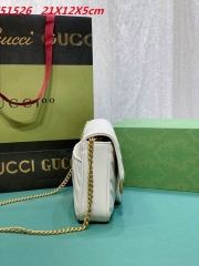 AAA -- G.u.c.c.i. Bags Part E 15973