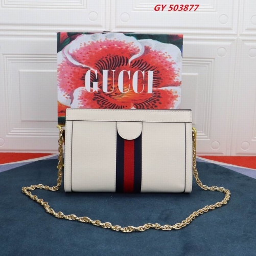 AAA -- G.u.c.c.i. Bags Part C 13992