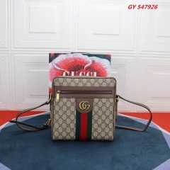 AAA -- G.u.c.c.i. Bags Part C 13987