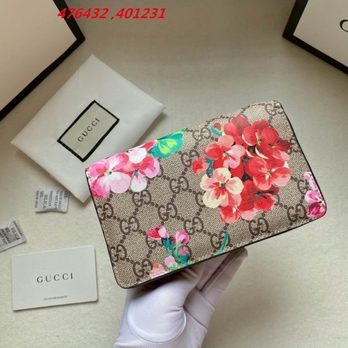 AAA -- G.u.c.c.i. Bags Part C 13691