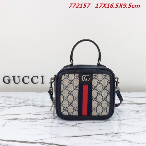 AAA -- G.u.c.c.i. Bags Part E 16052