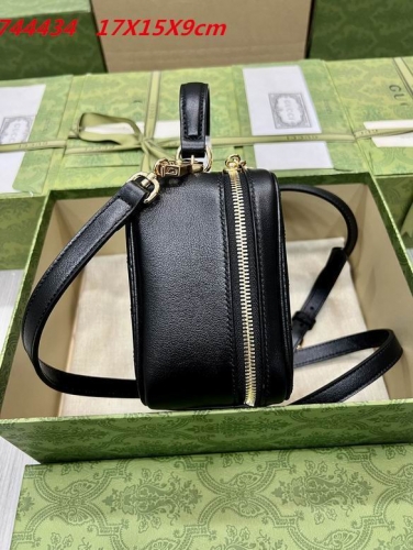 AAA -- G.u.c.c.i. Bags Part C 13317