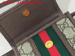 AAA -- G.u.c.c.i. Bags Part C 14173