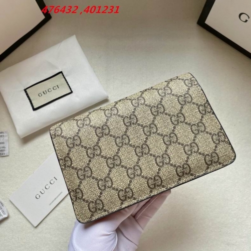 AAA -- G.u.c.c.i. Bags Part C 13685
