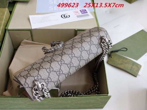 AAA -- G.u.c.c.i. Bags Part C 13909