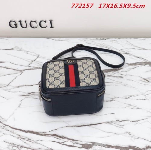 AAA -- G.u.c.c.i. Bags Part E 16046
