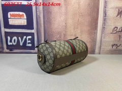 AAA -- G.u.c.c.i. Bags Part C 14333