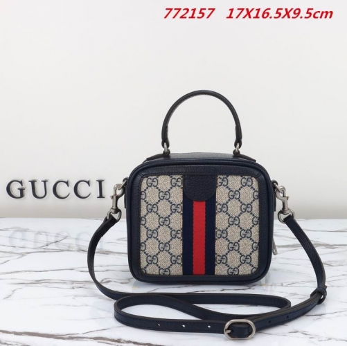 AAA -- G.u.c.c.i. Bags Part E 16051