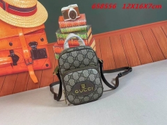 AAA -- G.u.c.c.i. Bags Part C 14058