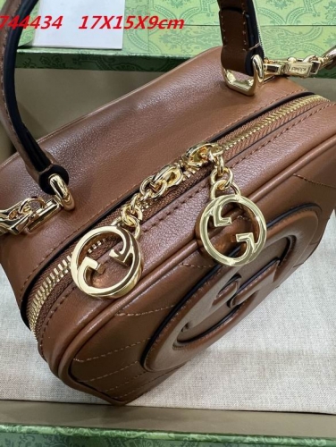 AAA -- G.u.c.c.i. Bags Part C 13324
