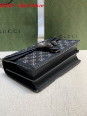 AAA -- G.u.c.c.i. Bags Part C 13698