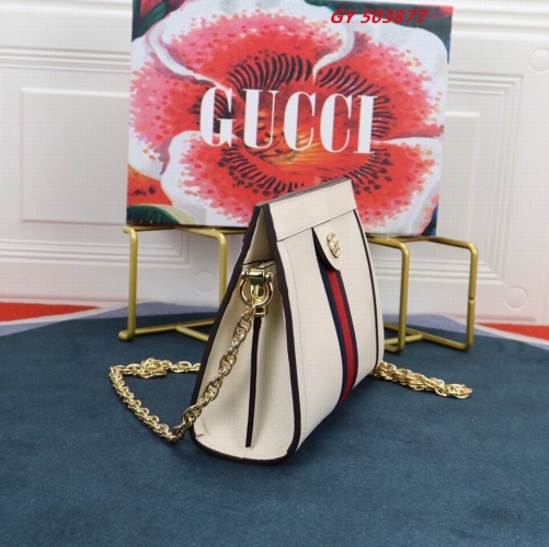 AAA -- G.u.c.c.i. Bags Part C 13991
