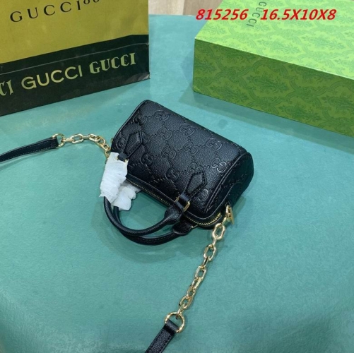 AAA -- G.u.c.c.i. Bags Part E 16745