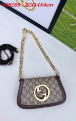 AAA -- G.u.c.c.i. Bags Part E 16345