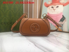 AAA -- G.u.c.c.i. Bags Part E 16411