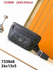 AAA -- G.u.c.c.i. Waistbag 10261
