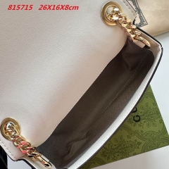AAA -- G.u.c.c.i. Bags Part E 16534