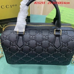 AAA -- G.u.c.c.i. Bags Part E 16739
