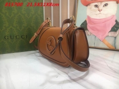 AAA -- G.u.c.c.i. Bags Part E 16410