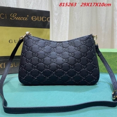 AAA -- G.u.c.c.i. Bags Part E 16753