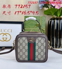 AAA -- G.u.c.c.i. Bags Part E 16795