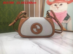 AAA -- G.u.c.c.i. Bags Part E 16399