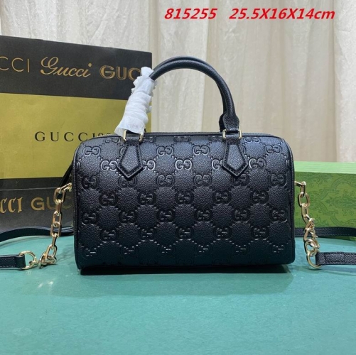AAA -- G.u.c.c.i. Bags Part E 16742