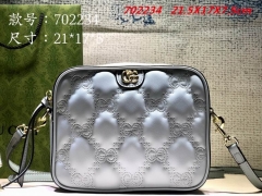 AAA -- G.u.c.c.i. Bags Part E 16684