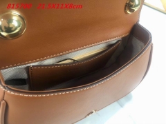 AAA -- G.u.c.c.i. Bags Part E 16406
