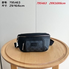 AAA -- G.u.c.c.i. Waistbag 10301