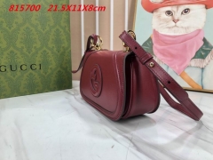 AAA -- G.u.c.c.i. Bags Part E 16428