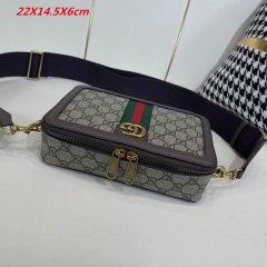 AAA -- G.u.c.c.i. Bags Part E 16211