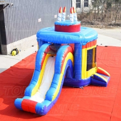 birthday cake bouncer w/ slide combo