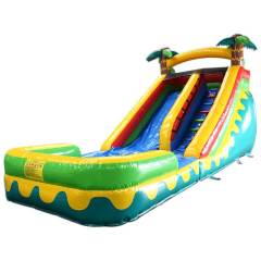 tropical water slide