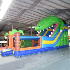 crocodile bouncy slide