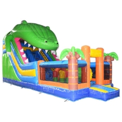 crocodile bouncy slide