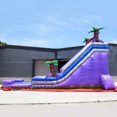 purple marble water slide