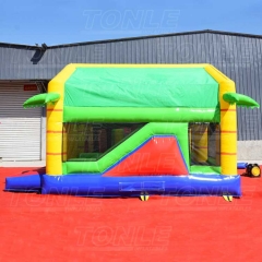 lion bouncy castle slide combo