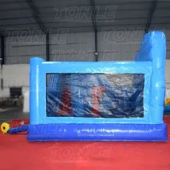 frozen bouncy slide combo