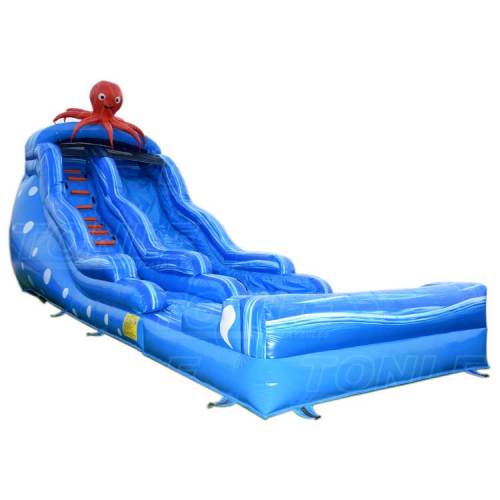 octopus water slide