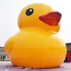 big yellow duck
