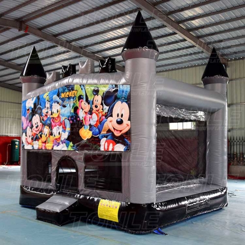 castle inflatable bouncer