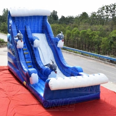 19' Dolphin Bay Splash inflatable water slide