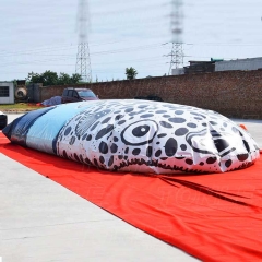 inflatable fish jump bag