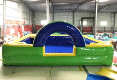 palm tree inflatable foam pit