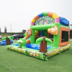 Hot Air Balloon inflatable bounce house jumping castle with dual lane water slide for sale