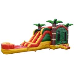 Hot Air Balloon inflatable bounce house jumping castle with dual lane water slide for sale