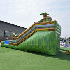 marble inflatable water slide