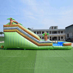 marble inflatable water slide